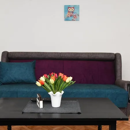 Apartment L & S Banjica
