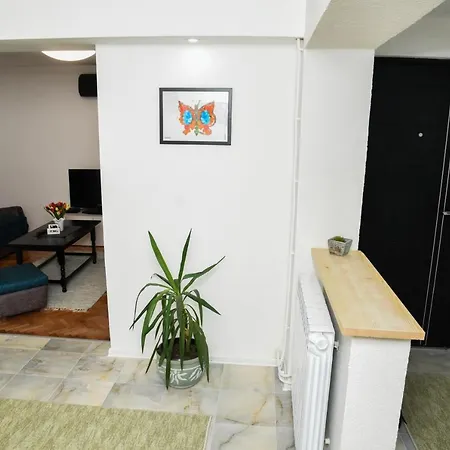 L & S Banjica Βελιγράδι