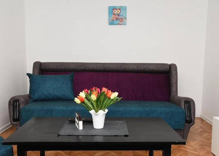 Apartmán L & S Banjica