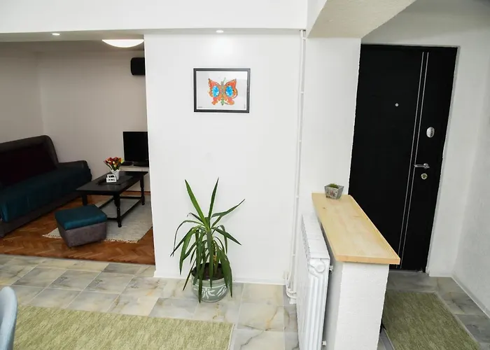 L & S Banjica بلغراد